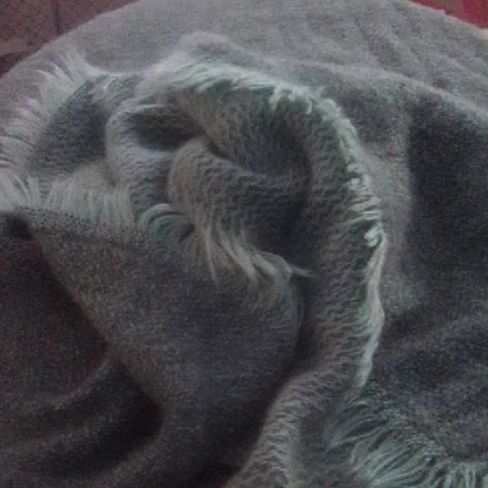 Peruvian Connection Teal Knit Scarf